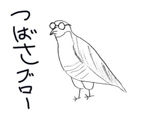つばさブローの名前の由来に驚愕!?本名,年齢などプロフィールまとめ!
